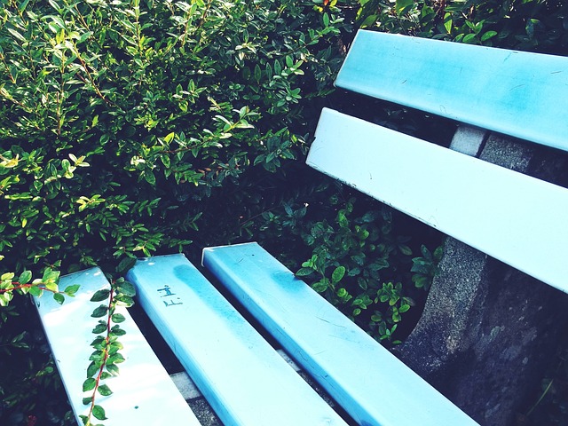 相尊重彼此 相尊重彼此