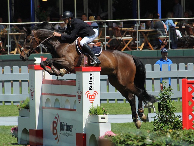 听起来有些 听起来有些